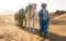 Kamelen in Sahara Marokko