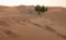 Sahara Marokko