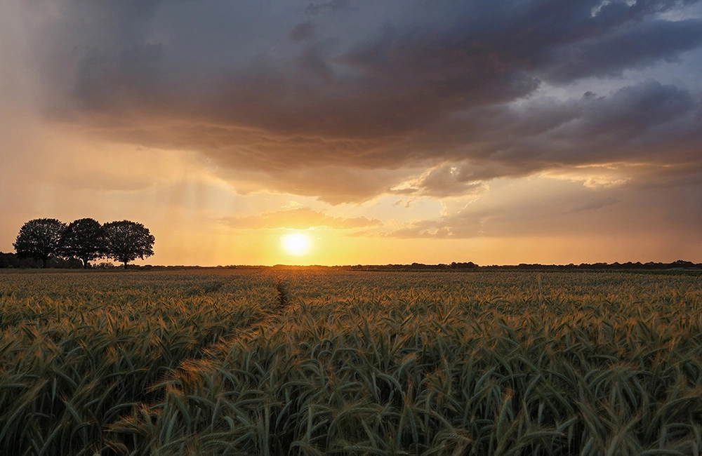 Landschappen